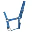 Hy Equestrian Economy Plus Head Collar - - Kingfisher