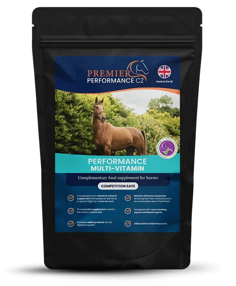Premier Performance MultiVitamin in Black