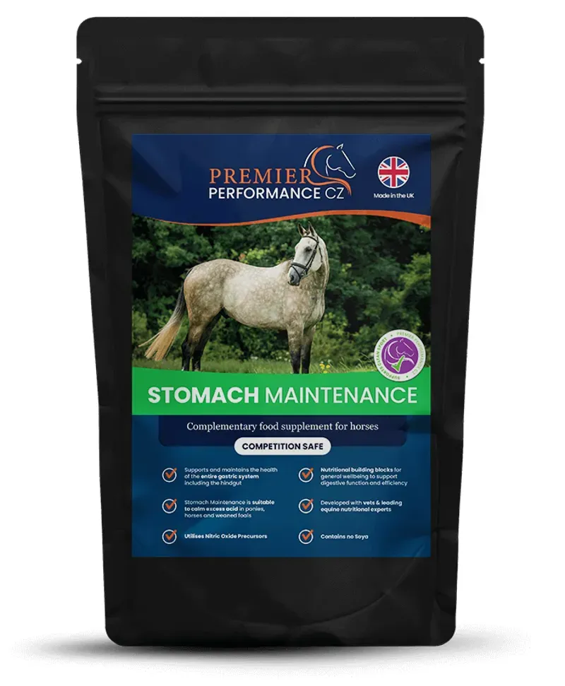 Premier Performance Stomach Maintenance in Black