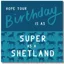 Gubblecote Beautiful Greetings Card in Super as a Shetland