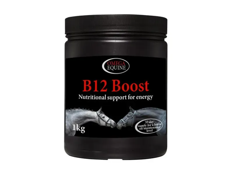 Omega Equine B12 Boost in Black