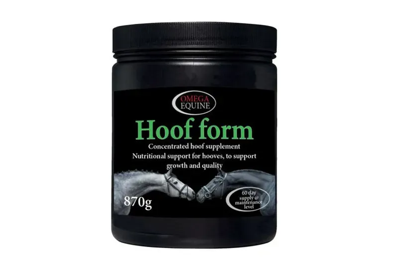 Omega Equine Hoof in Black
