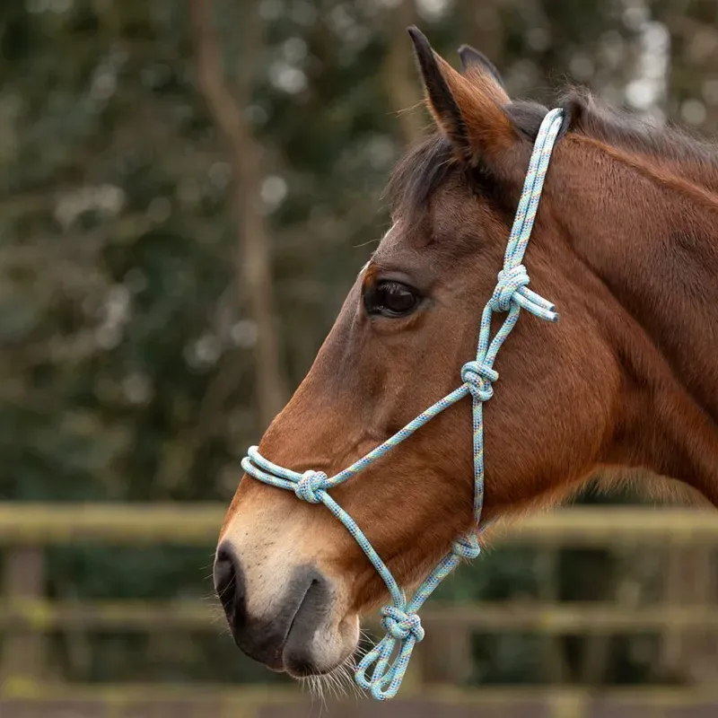 Hy Equestrian Cob/Full Rope HalterThick in Green Multi-1