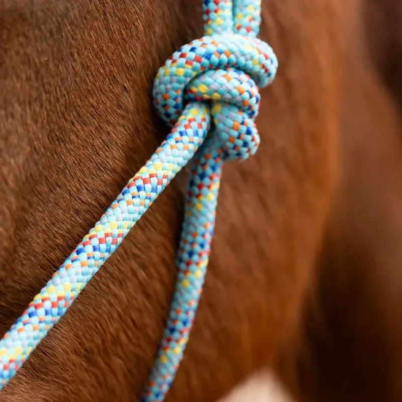 Hy Equestrian Cob/Full Rope HalterThick in Green Multi-2