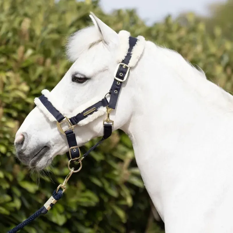 Coldstream Langlee Luxury Headcollar and Lead Rope in Navy-1