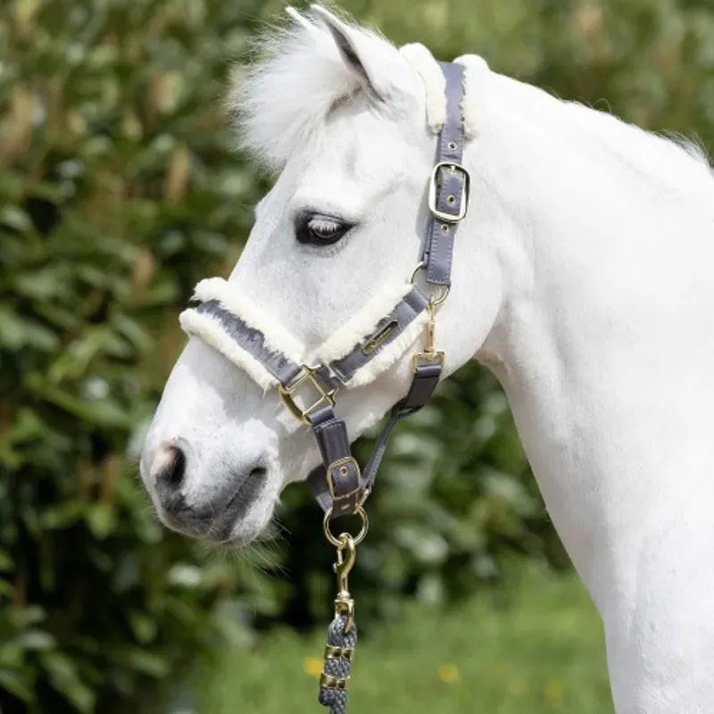 Coldstream Langlee Luxury Headcollar and Lead Rope in Grey-1