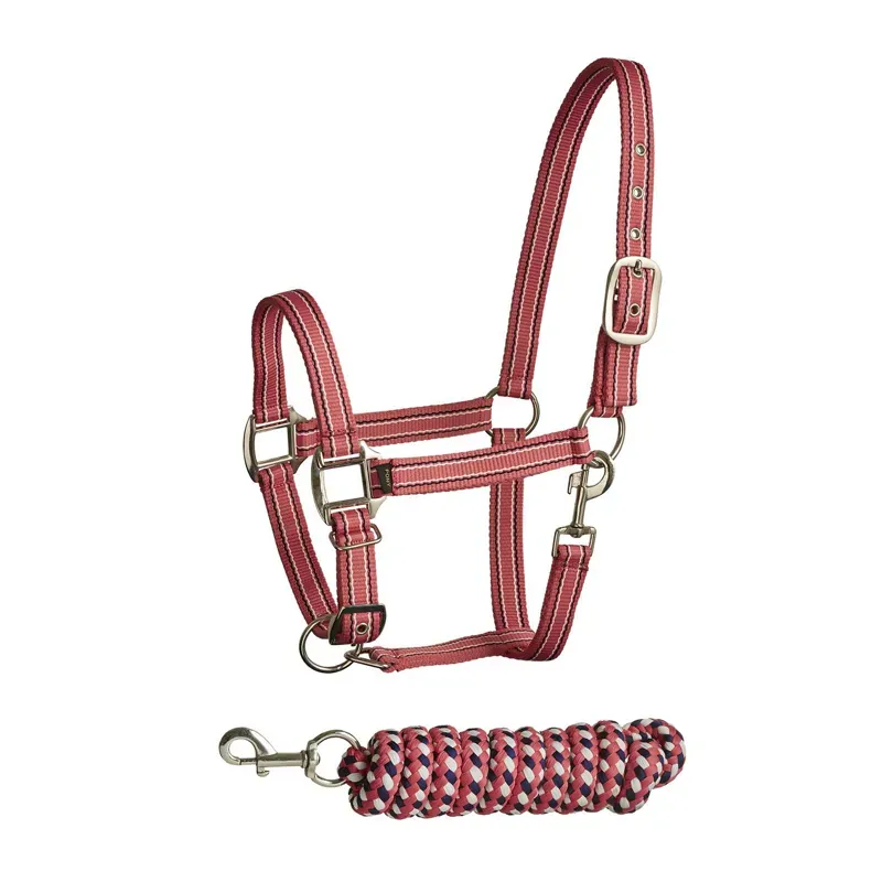Bitz Soft Handle Two Tone Headcollar Lead Rope Set in Pink