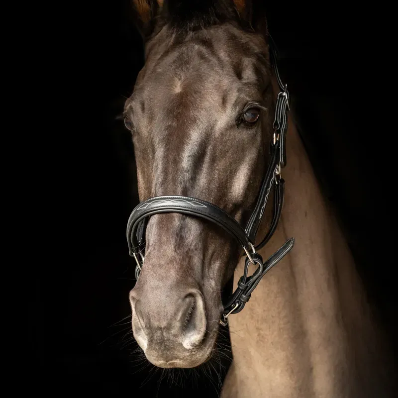 Hy Equestrian ProPresicce Leather Head Collar in Black-1