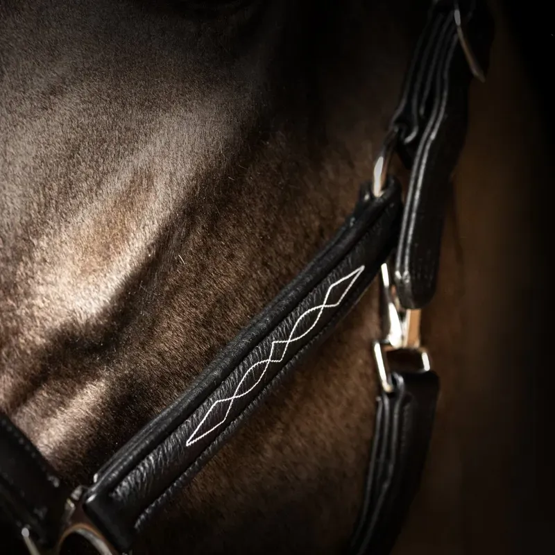 Hy Equestrian ProPresicce Leather Head Collar in Black-3