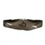 Hy Equestrian ProReaction Contoured TPU Vented GP/Jumping Girth in Brown