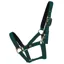 Hy Equestrian Fieldsafe Head Collar - - Green