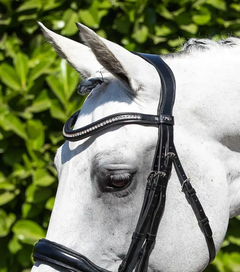 Premier Equine Abriano Anatomic Double Bridle in Black-1