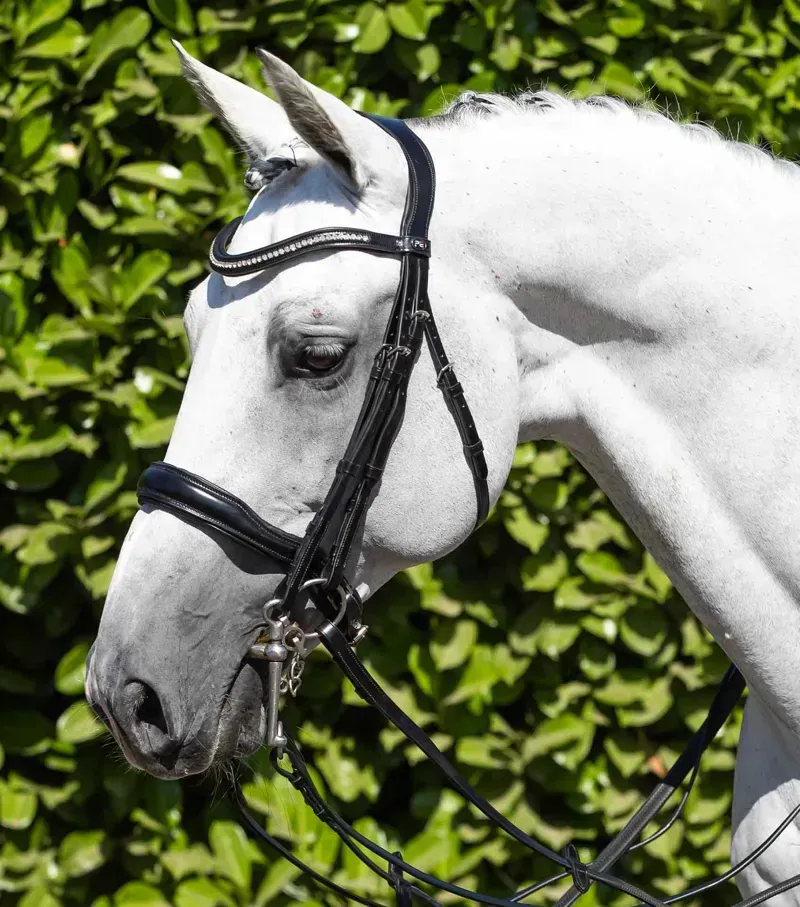 Premier Equine Abriano Anatomic Double Bridle in Black