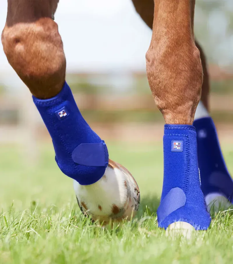 Premier Equine Air-Tech Sports Medicine Boots in Royal Blue-5