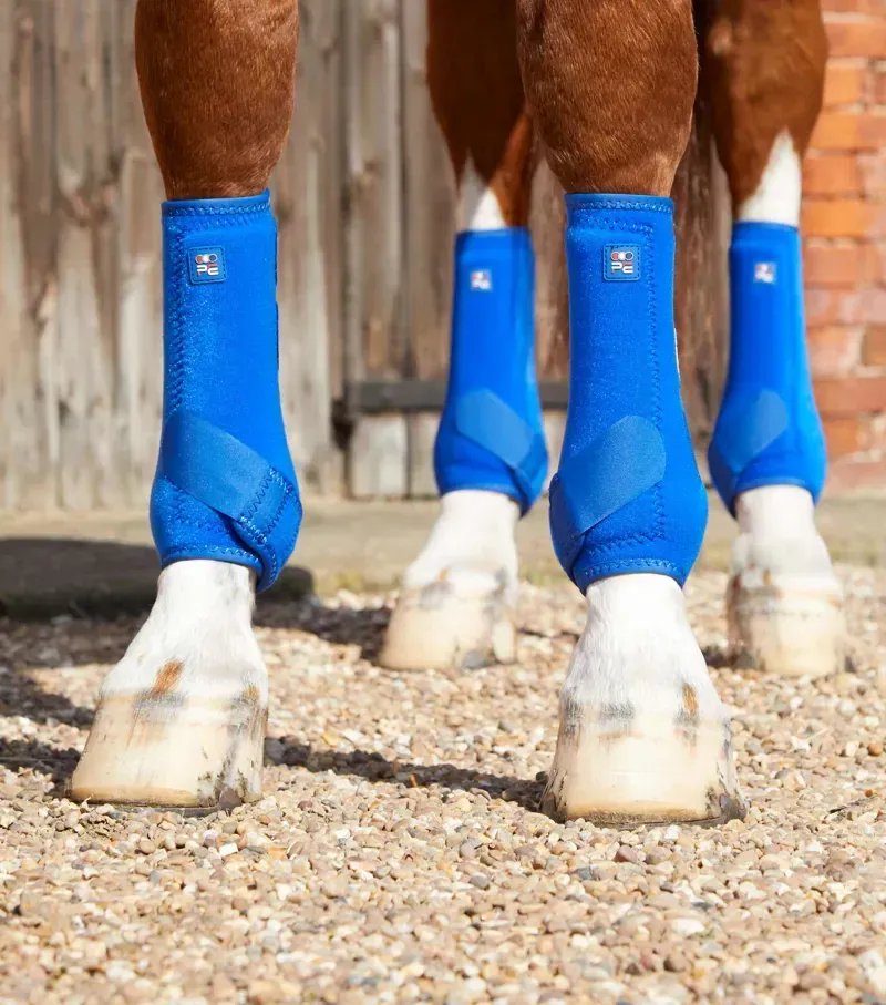 Premier Equine Air-Tech Sports Medicine Boots in Royal Blue-2