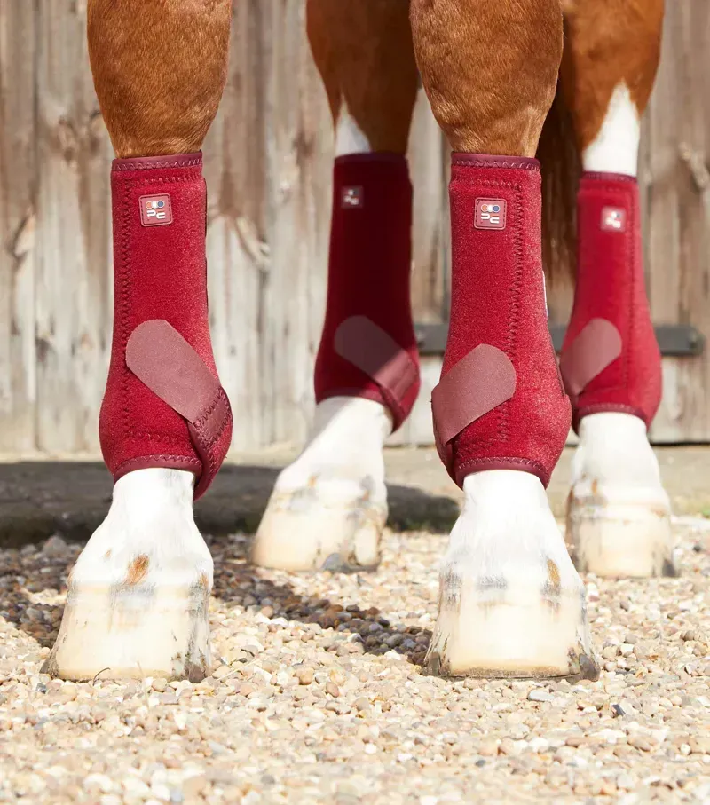 Premier Equine Air-Tech Sports Medicine Boots in Burgundy-3