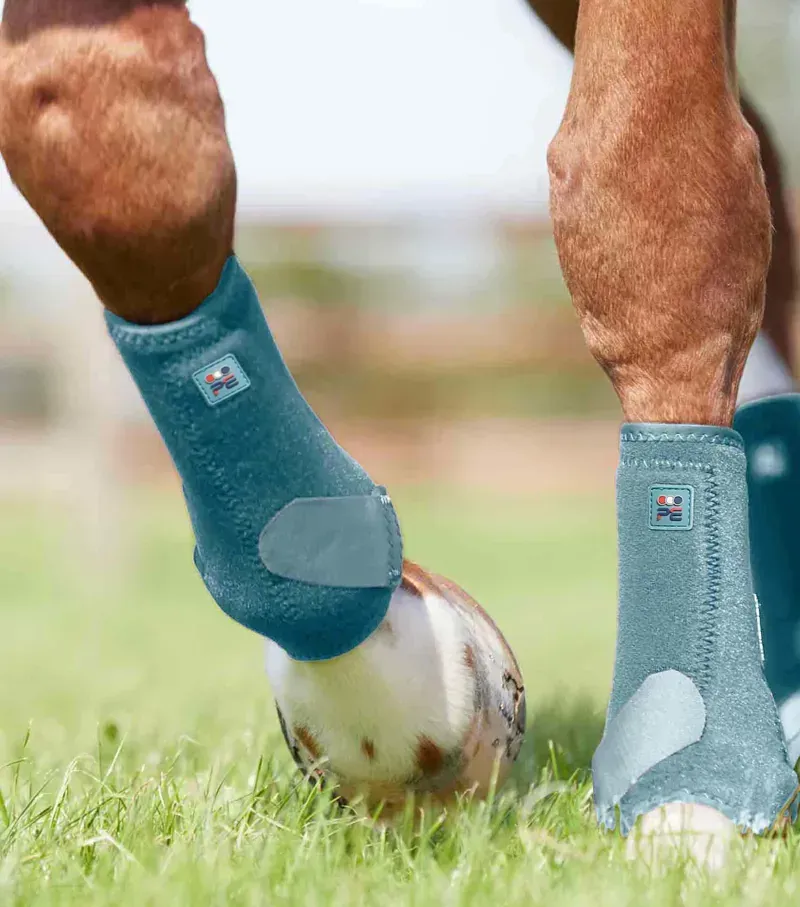 Premier Equine Air-Tech Sports Medicine Boots in Turquoise-1