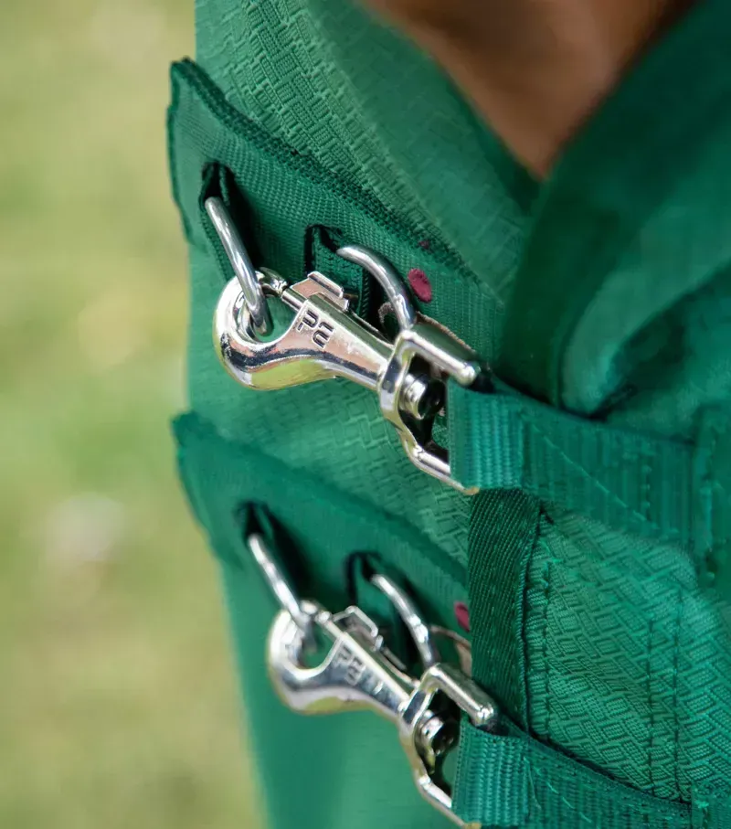 Premier Equine Akoni 0g Original Turnout Rug in Green-2