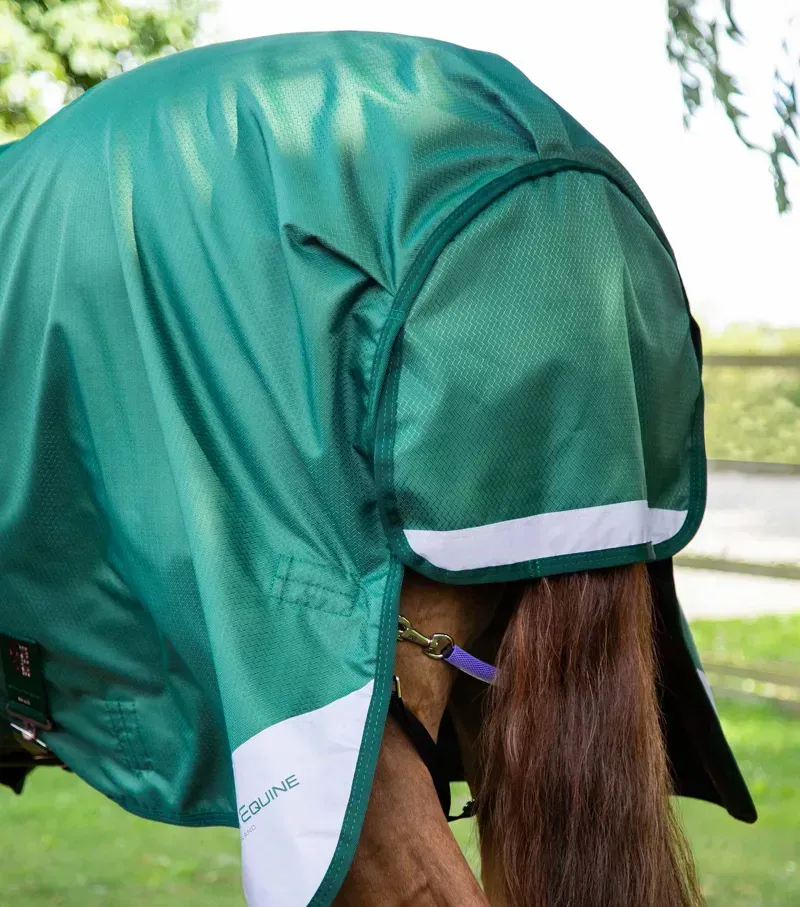 Premier Equine Akoni 0g Original Turnout Rug in Green-4