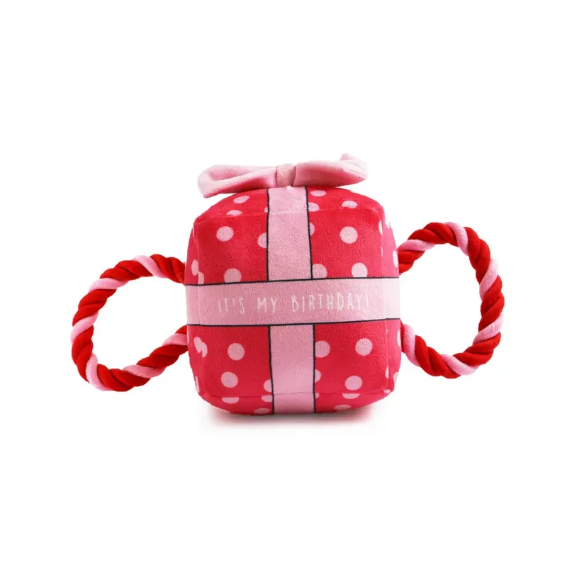 Ancol 20cm Pawty Time Birthday Present in Pink