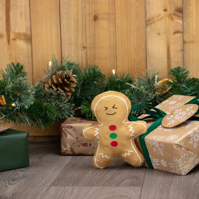 Ancol 15cm Georgia Gingerbread in Brown