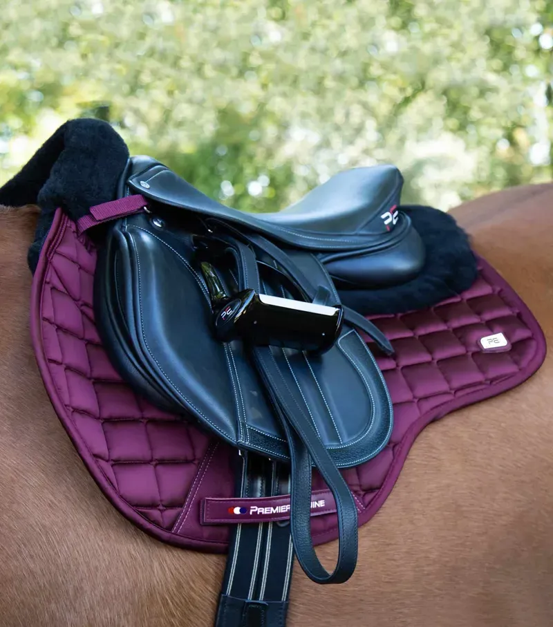 Premier Equine Atlantis CC Satin Wool GP/Jump Square in Wine/Black-1