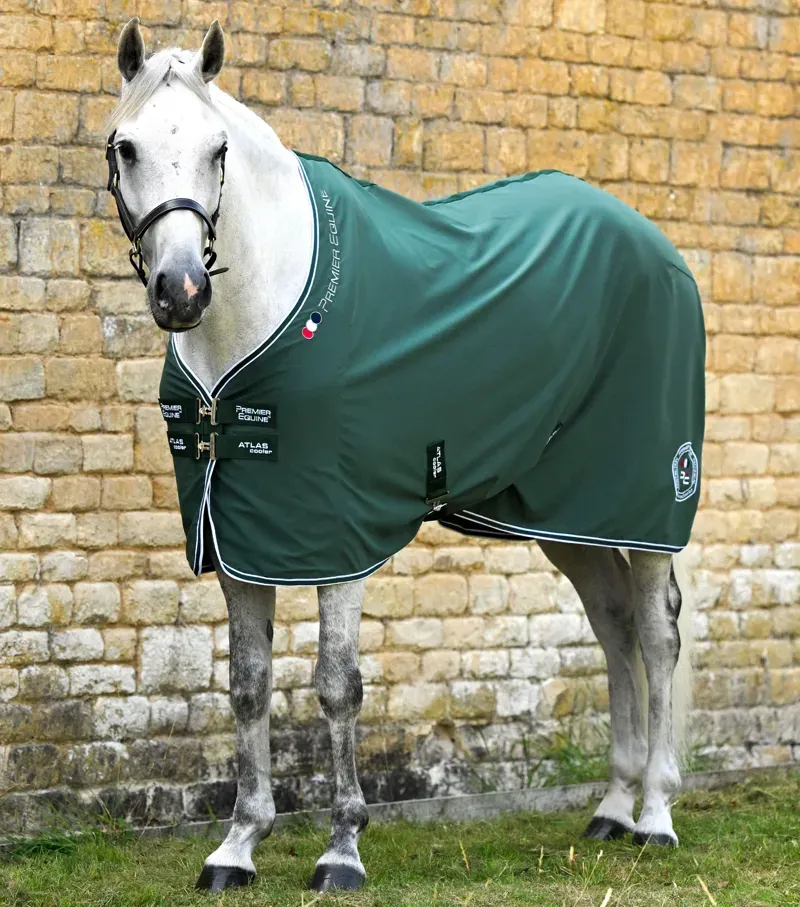 Atlas Horse Cooler Rug / Green