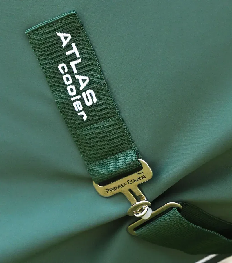 Atlas Horse Cooler Rug / Green-4