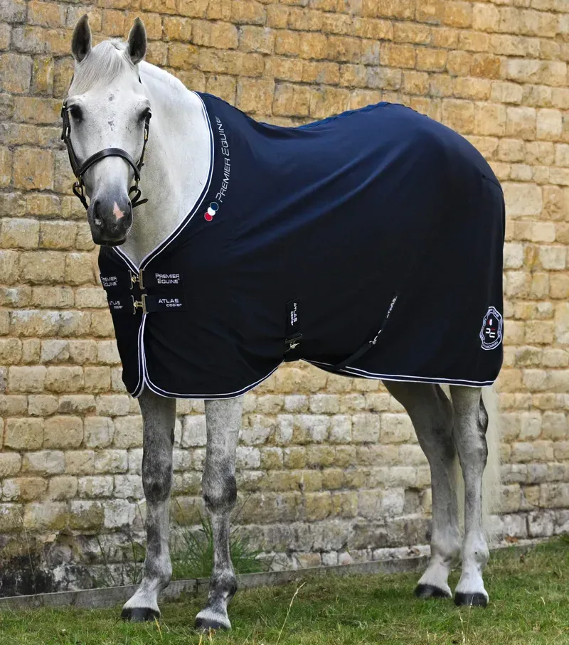 Premier Equine 5'0 Atlas Horse Cooler Rug in Navy