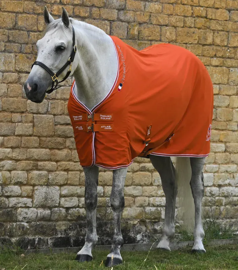 Premier Equine 6'6 Atlas Horse Cooler Rug in Burnt Orange