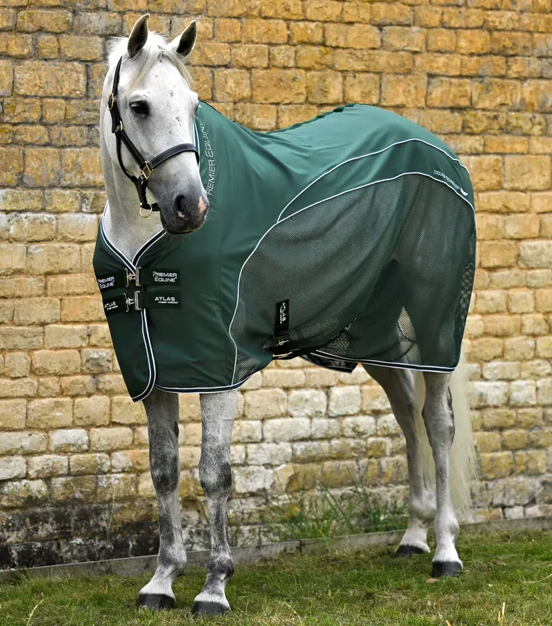 Premier Equine 6'6 Atlas Mesh Horse Cooler Rug in Green