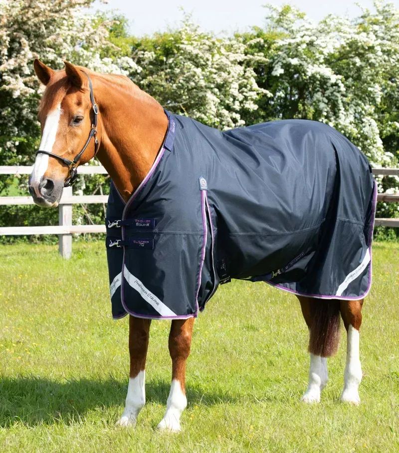 Premier Equine Buster 70g Turnout Rug With Classic Neck Cover in Navy-2