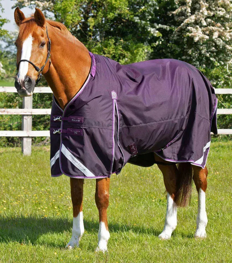 Premier Equine Buster 70g Turnout Rug With Classic Neck Cover in Purple-1