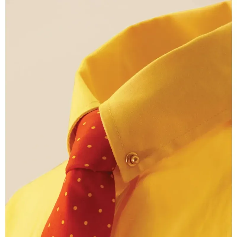 Equetech One Size Collar Pin and Chain in Gold-1