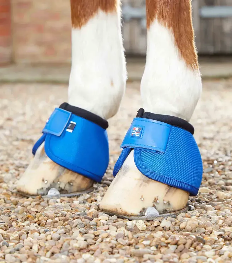 Premier Equine Ballistic No-Turn Over Reach Boots in Royal Blue