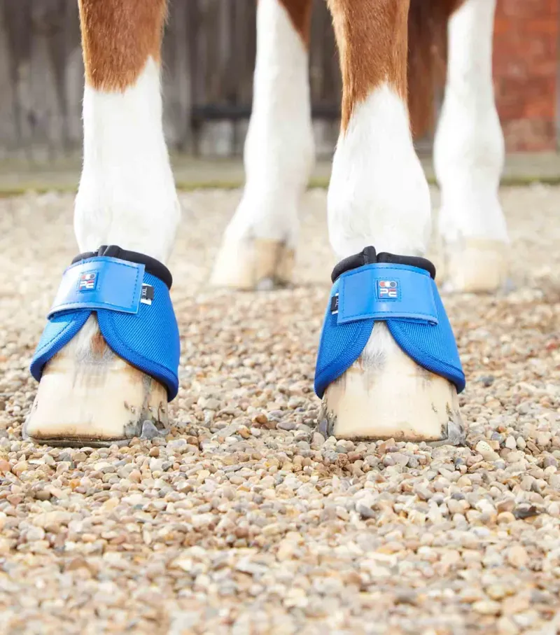 Premier Equine Ballistic No-Turn Over Reach Boots in Royal Blue-2