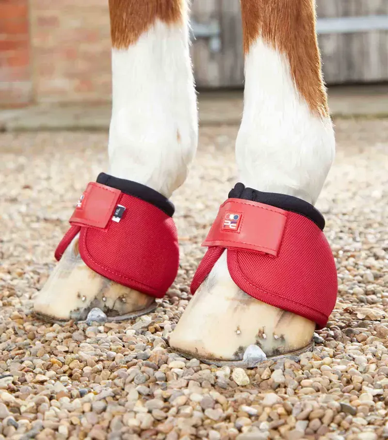 Premier Equine X-Large Ballistic No-Turn Over Reach Boots in Red