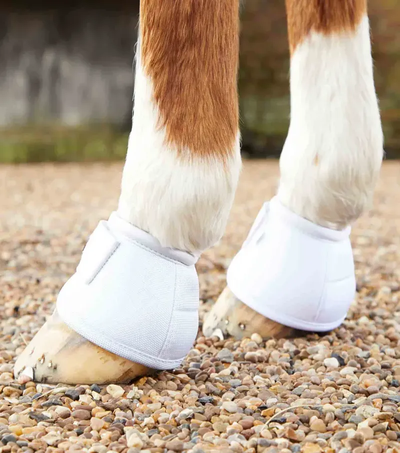 Premier Equine Ballistic No-Turn Over Reach Boots in White-1