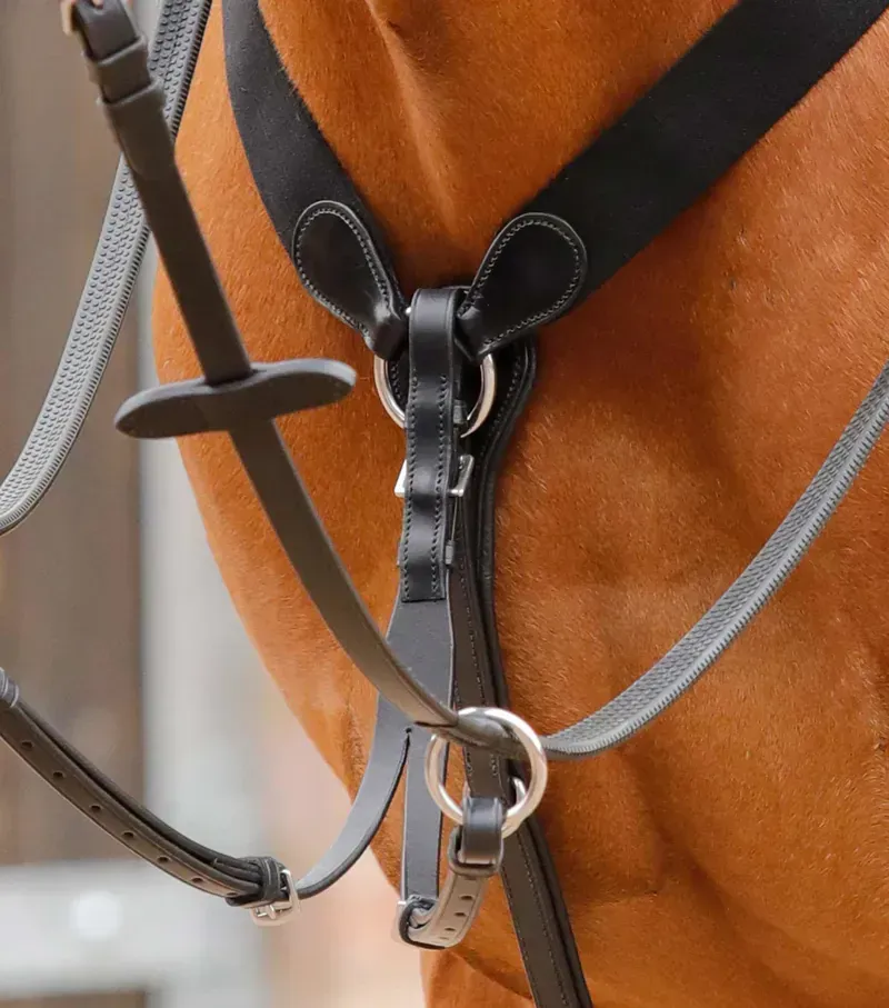 Premier Equine Baressa Elastic Jumping Breastplate in Black-1