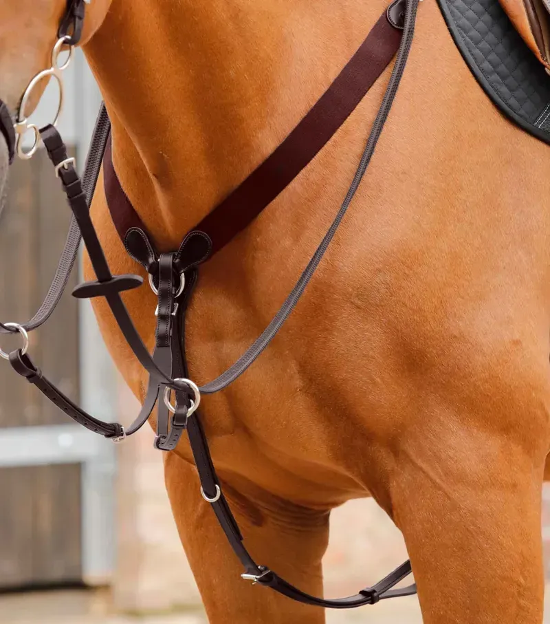 Premier Equine Baressa Elastic Jumping Breastplate in Brown