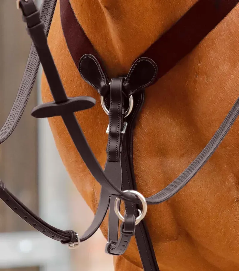 Premier Equine Baressa Elastic Jumping Breastplate in Brown-1