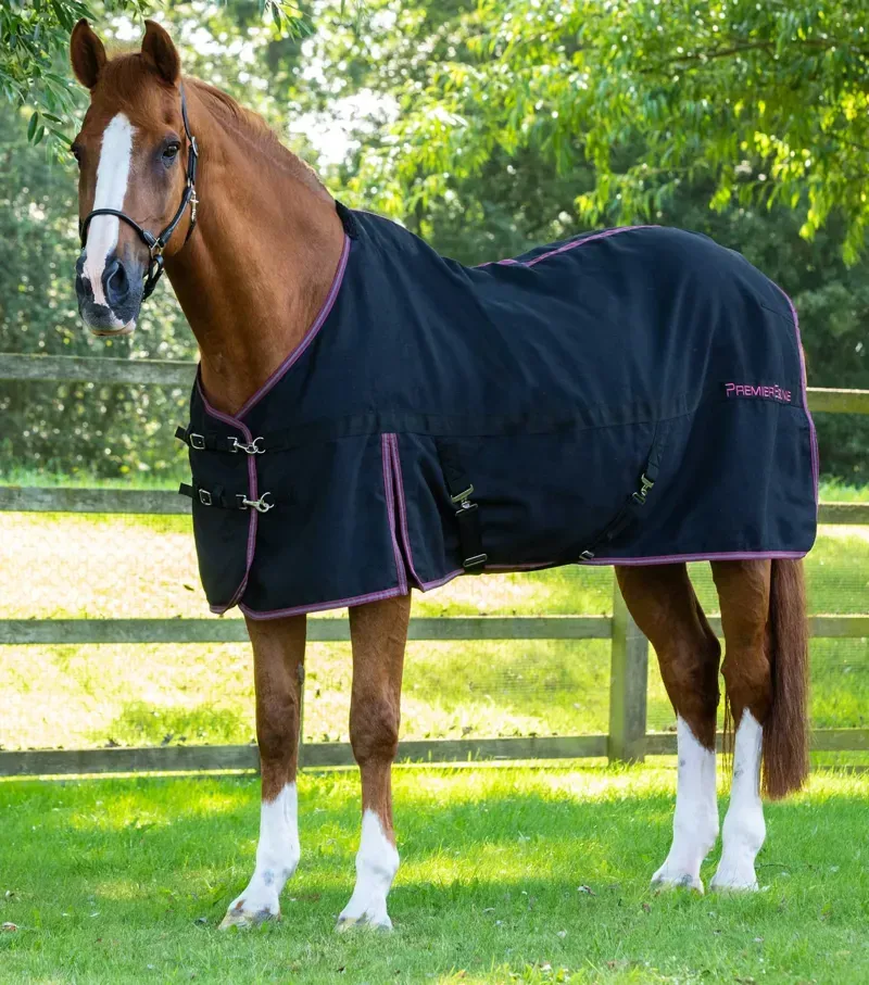 Premier Equine Barrasso Stable Sheet in Black