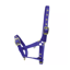 Hy Foal Head Collar in Blue