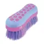 Hy Shine Glitter Dandy Brush in Blue/Pink