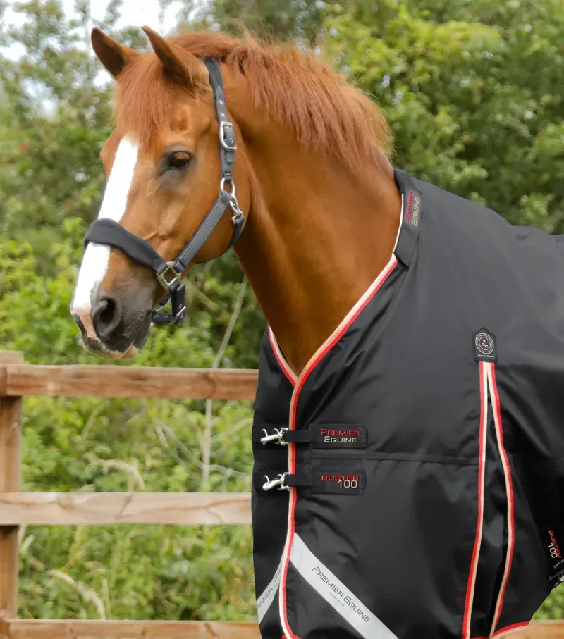Premier Equine Buster 100g Turnout Rug With Snug-Fit Neck Cover in Black-1