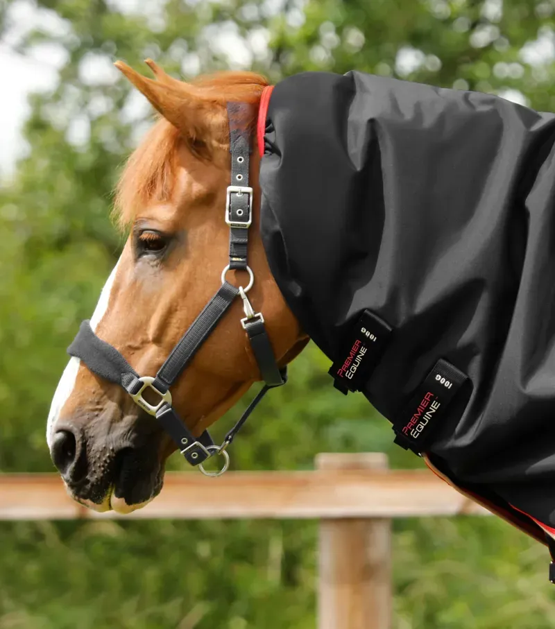 Premier Equine Buster 100g Turnout Rug With Snug-Fit Neck Cover in Black-2