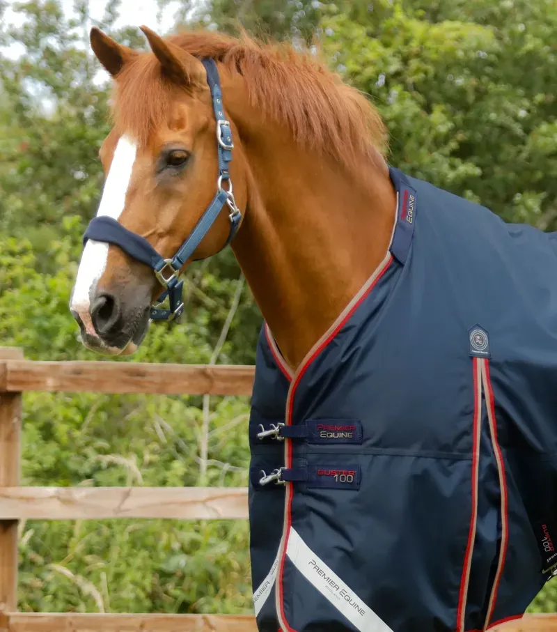 Premier Equine Buster 100g Turnout Rug With Snug-Fit Neck Cover in Navy-1