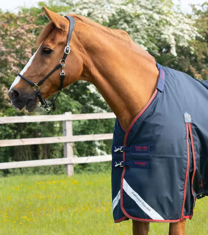 Premier Equine Buster 150g Turnout Rug With Classic Neck Cover in Navy-2