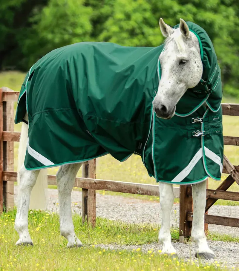 Premier Equine Buster 200g Turnout Rug With Snug-Fit Neck Cover in Green