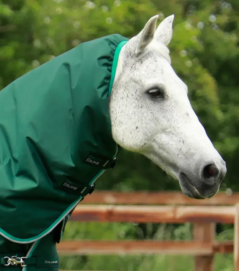 Premier Equine Buster 200g Turnout Rug With Snug-Fit Neck Cover in Green-1